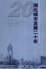 湖北城市发展二十年