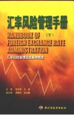 汇率风险管理手册 下 汇率风险管理实战案例精选