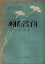 柳河两岸变了样