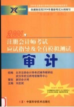 2004年注册会计师考试应试指导及全真模拟测试 审计