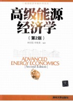 高级能源经济学