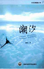 80后青春文学 潮汐