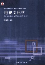 电视文化学