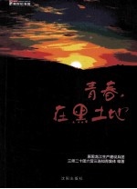 青春,在黑土地