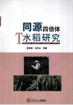 同源四倍体水稻研究