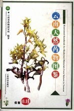 云南天然药物图鉴 第1卷