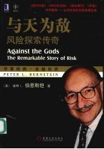 与天为敌:风险探索传奇