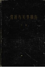 骨折与关节损伤 下