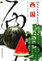 美味水果养生系列 西瓜