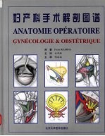 妇产科手术解剖图谱