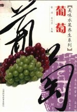 美味水果养生系列 香蕉