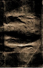 鲁迅作品选 下