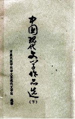 中国现代文学作品选 下