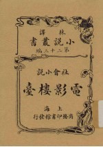 电影楼台社会小说