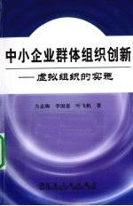 中小企业群体组织创新 虚拟组织的构建与实施