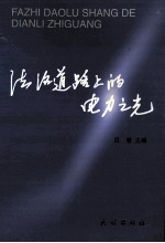 法治道路上的电力之光