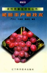 葡萄丰产新技术