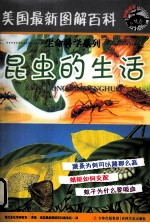 美国最新图解百科 昆虫的生活
