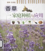 香草家庭种植与应用