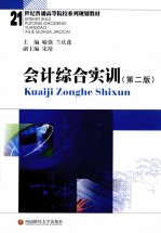 会计综合实训 第2版