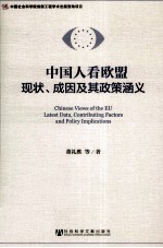 中国人看欧盟 现状、成因及其政策涵义