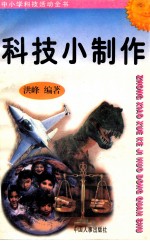 科技小制作