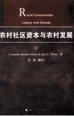 农村社区资本与农村发展