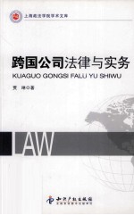 跨国公司法律与实务