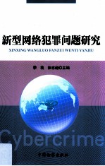 新型网络犯罪问题研究