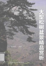 朱纪喜大型松树盆景精品赏析