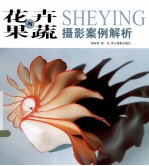 花卉与果蔬摄影案例解析