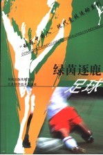 绿茵逐鹿-足球