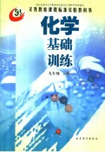 化学基础训练 九年级下
