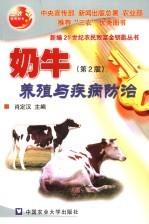 奶牛养殖与疾病防治