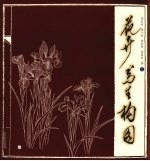 花卉写生构图 上