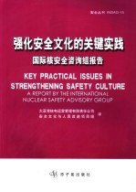 加强安全文化中的重点操作实务 国际核安全咨询组报告