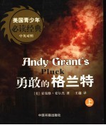 美国青少年必读经典 勇敢的格兰特 上
