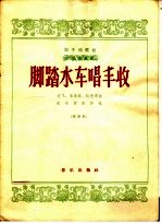 笛子独奏曲 脚踏水车唱丰收