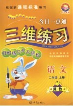 今日一点通三维练习 二年级语文 上