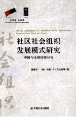 社区社会组织发展年模式研究 中国与全球经验分析