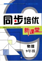 同步培优新课堂 物理 九年级