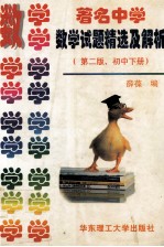 数学试题精选及解析 第2版 初中下