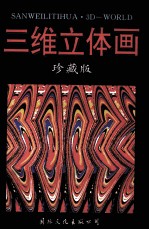 三维立体画 下 珍藏版