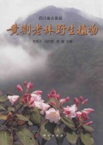 四川省古蔺县 黄荆老林野生植物