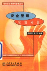 电业安全教育与管理丛书 安全管理实效问答