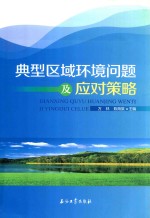 典型区域环境问题及应对策略