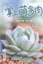 掌上萌多肉