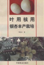 叶用核用银杏丰产栽培
