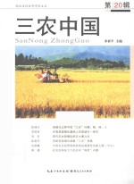 三农中国 第20辑