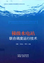 梯级水电站联合调度运行技术